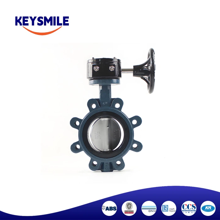 Butterfly Gear Valve