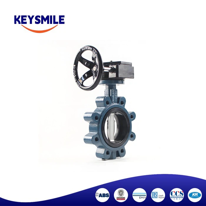 butterfly gear valve supplier