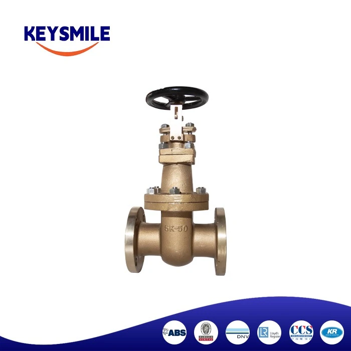 OEM Marine Cast Steel Gate Valves