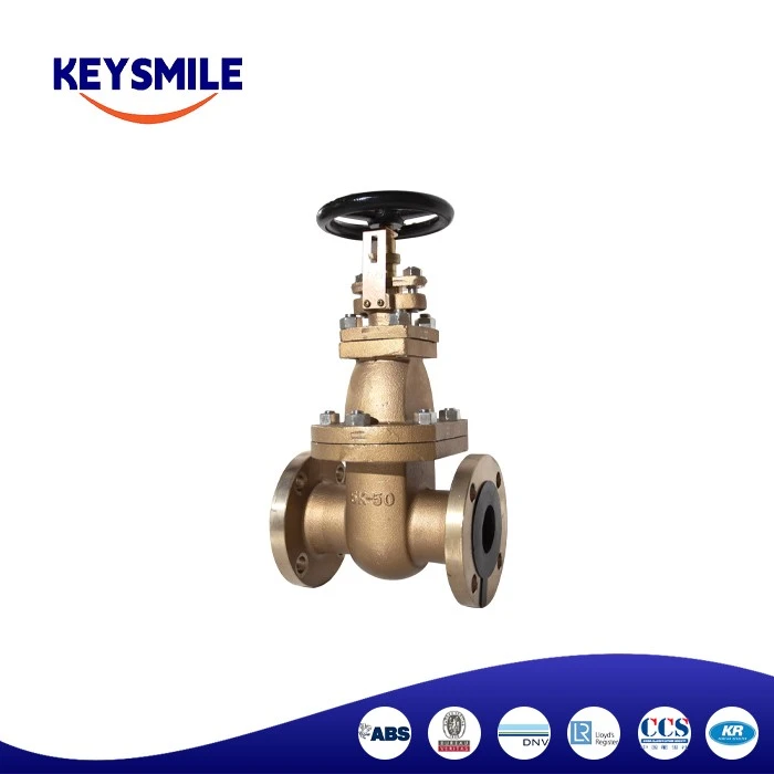 Marine Cast Steel Gate Valves supplier
