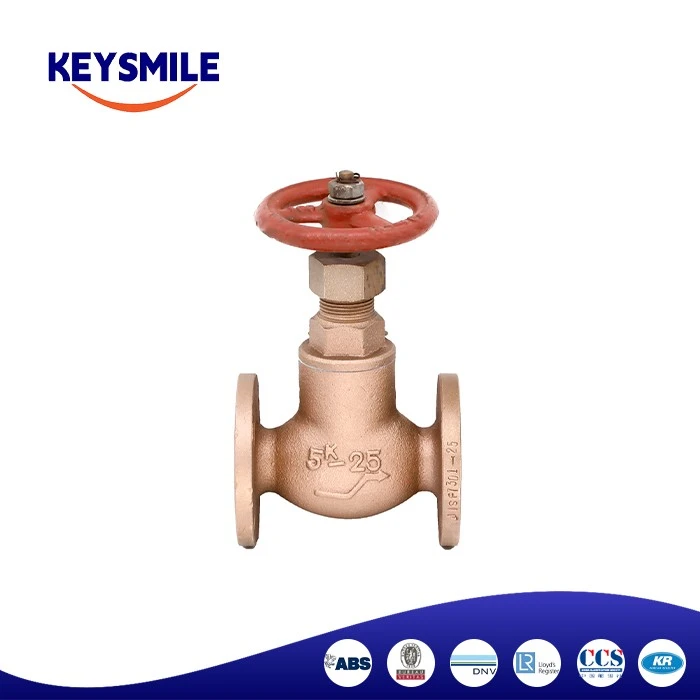 Marine Bronze Globe Check Valves