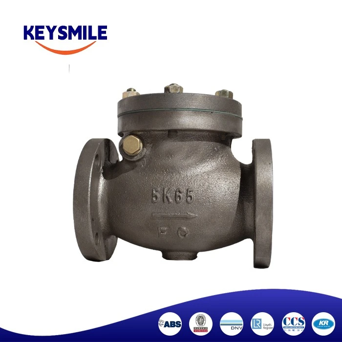 OEM Marine Cast Iron Swing Check Valves
