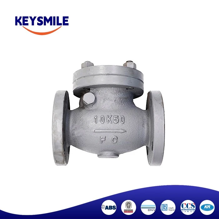 Marine Cast Iron Swing Check Valves factory