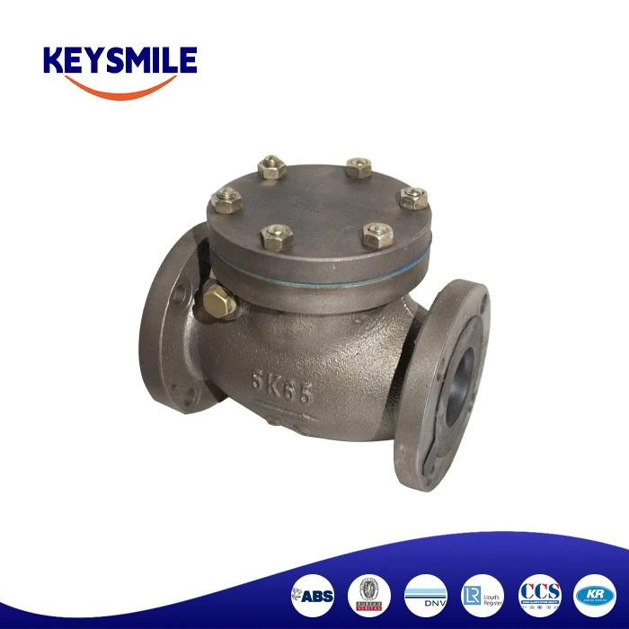 Marine Cast Iron Swing Check Valves supplier