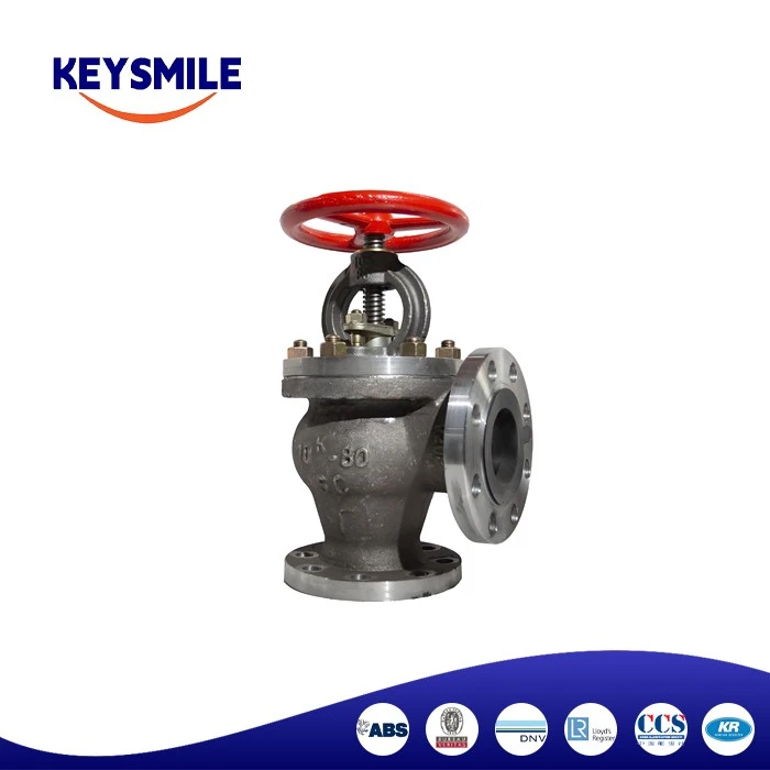 Cast Steel Angle Check Valves