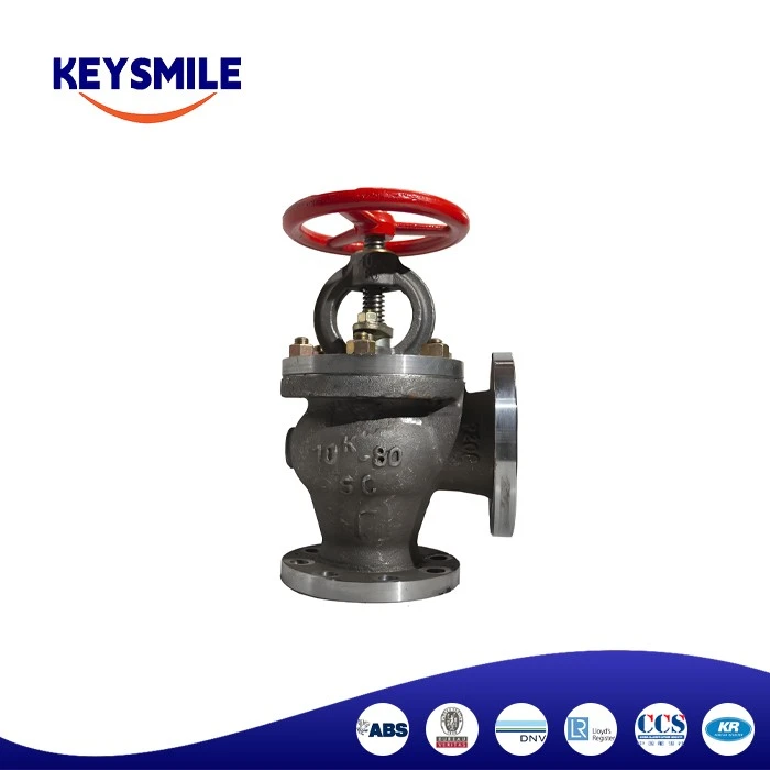 Cast Steel SDNR Angle Valves